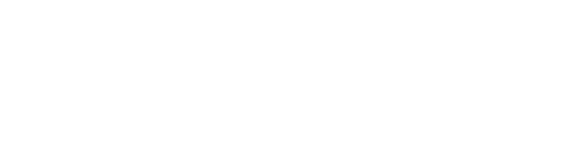 Prodin Logo Blanco